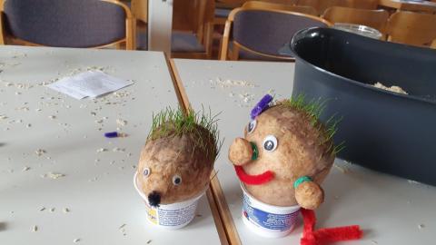 Den Grasköpfen wachst schon das Haar!