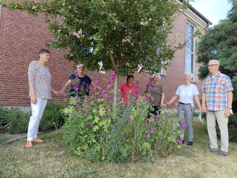 In diesem Jahr bietet der Kirchgarten Insekten gute Nahrungsquellen.