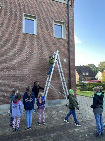 So groß ungefähr war Goliath!